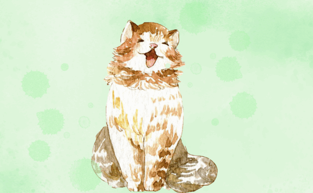 小物